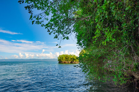 uninhabited bird nesting islands in the preserve of the Dominican Republic