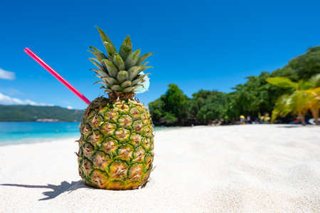 pina colada cocktail in pineapple on the sand of the caribbean beach paradiseの写真素材