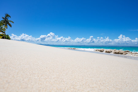 sunny summer landscape waterfront seashore overlooking the palm tree Palm Ocean Sky Paradiseの写真素材