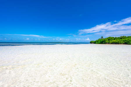 Paradise nature, sea on a tropical beach with green tree palmの写真素材