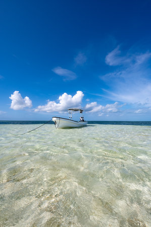 Boat on a tropical beach sea shore tiedの写真素材