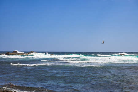 small uninhabited island of Catalinita in the Caribbean Sea near the Dominican Republicの写真素材
