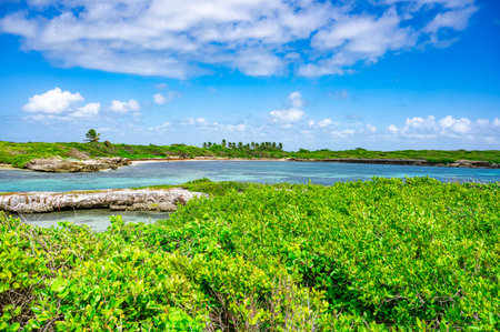 small uninhabited island of Catalinita in the Caribbean Sea near the Dominican Republicの写真素材