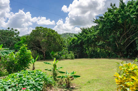 landscape green vegetation dominican republic. good weather dayの写真素材