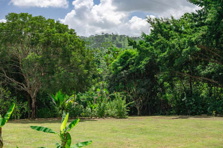 landscape green vegetation dominican republic. good weather dayの写真素材