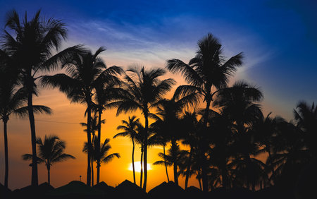 beautiful calm color sunset of the Caribbean in fine weather
