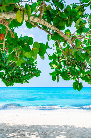 landscape blue calm Caribbean sea against the backdrop of a beautiful sky in the Dominican Republic