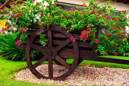 decorative wooden cart with flowers in the garden on the lawnの写真素材