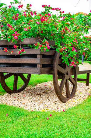 decorative wooden cart with flowers in the garden on the lawnの写真素材