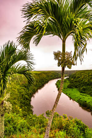 calm beautiful river chevon among tropical jungle high bank dominican republicの写真素材