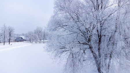 landscape is not still pond with snowy shore