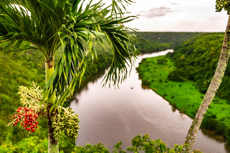 calm beautiful river chevon among tropical jungle high bank dominican republic