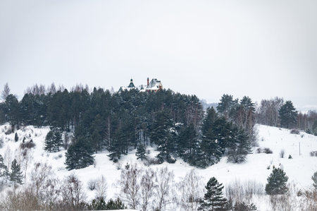 View at city from bird sight. City snowy winter scape from drone