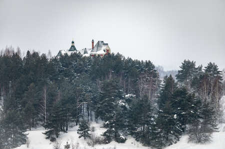View at city from bird sight. City snowy winter scape from droneの写真素材