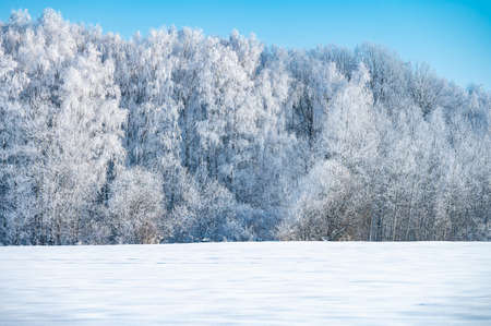 landscape is not still pond with snowy shoreの写真素材