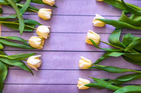 bouquet of yellow tulips on a wooden backgroundの写真素材