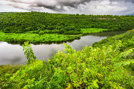calm beautiful river chevon among tropical jungle high bank dominican republicの写真素材