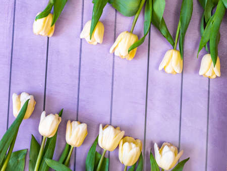 bouquet of yellow tulips on a wooden backgroundの写真素材