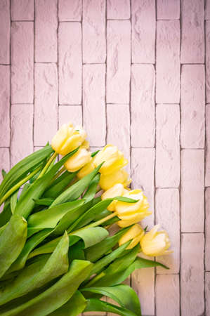 bouquet of yellow tulips on a brick backgroundの写真素材