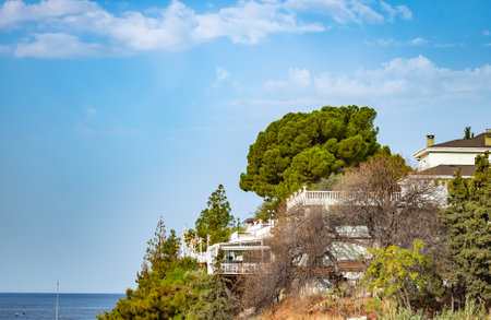 landscape rocky coast of the Aegean sea with green vegetationの写真素材