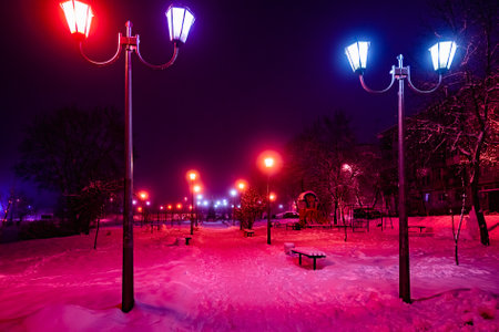 lane road lighting lantern trees covered with snow in the winter nightの写真素材