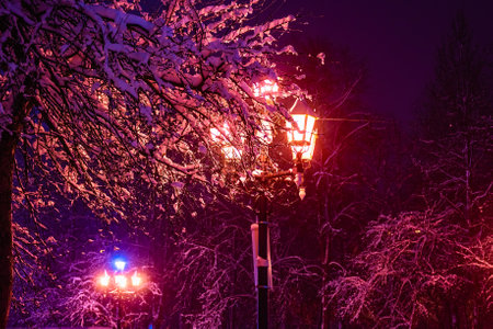 glow lamp on pole in winter on a background of a tree covered with a layer of snow at nightの写真素材