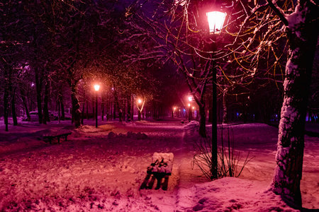 glow lamp on pole in winter on a background of a tree covered with a layer of snow at night