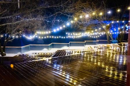 lane road lighting lantern trees covered with snow in the winter nightの写真素材