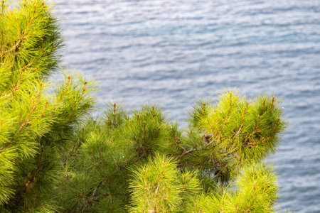 waves on the sea landscape on a background of blue sky with cloudsの写真素材