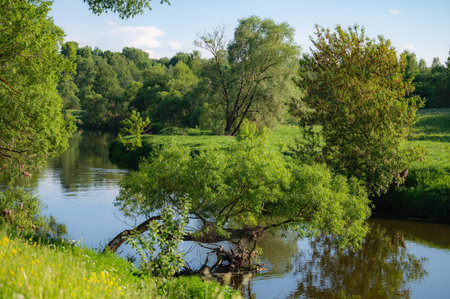 bend of the river flowing in the forest landscapeの写真素材