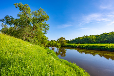 bend of the river flowing in the forest landscapeの写真素材
