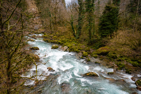 rocky shore of a mountain river and green treesの写真素材