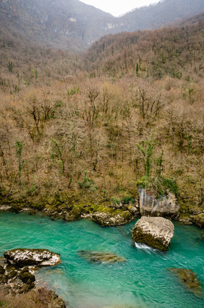 rocky shore of a mountain river and green treesの写真素材