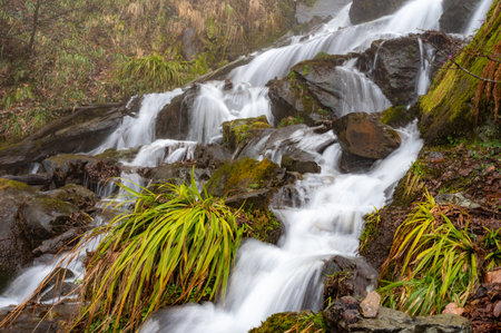 Icy water from snowmelt rushes through a mountain gorge between bouldersの写真素材
