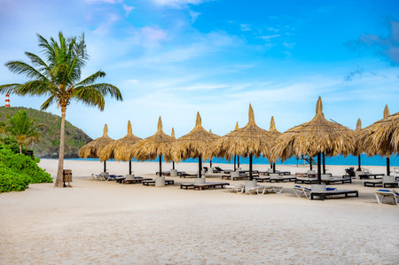 Group deck chairs under an umbrella on a sandy beach seaの写真素材