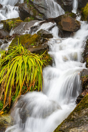 Icy water from snowmelt rushes through a mountain gorge between bouldersの写真素材