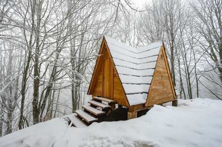 A small wooden house with a triangular roof covered in snow. The house is surrounded by trees and the snow is piled up around it. Concept of coziness and warmthの写真素材