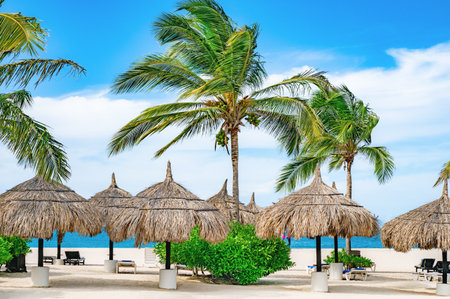 Group deck chairs under an umbrella on a sandy beach seaの写真素材