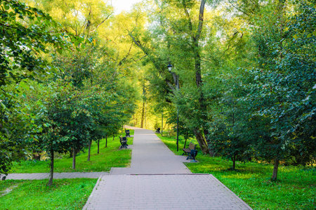 A park with a path lined with trees and benches. The path is paved and there are several benches along the way. The park is a peaceful and relaxing place to spend timeの写真素材
