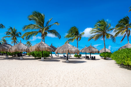 Beach with palm trees and a clear blue sky. The palm trees are on the left and right side of the beachの写真素材