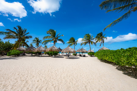Beach with palm trees and a clear blue sky. The palm trees are on the left and right side of the beachの写真素材