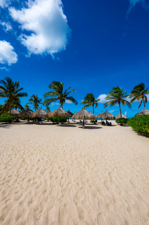 Beach with palm trees and a clear blue sky. The palm trees are on the left and right side of the beachの写真素材