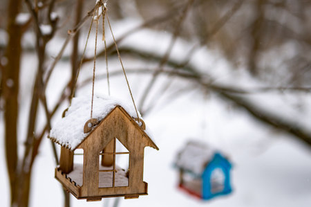 Birdhouse is hanging from a tree branch. The birdhouse is blue and has a red roof.の写真素材