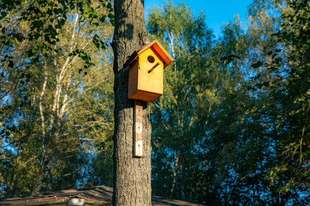 Birdhouse is hanging from a tree branch. The birdhouse is blue and has a red roof. The sun is shining on the birdhouse, creating a bright spot on the roofの写真素材