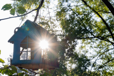 Birdhouse is hanging from a tree branch. The birdhouse is blue and has a red roof. The sun is shining on the birdhouse, creating a bright spot on the roofの写真素材