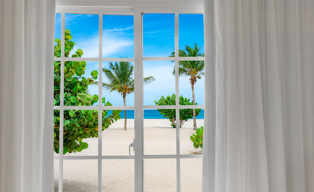 Window with a view of palm trees and a beach. The beach is sandy and the palm trees are greenの写真素材