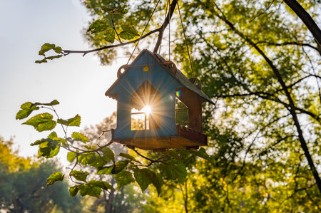 Birdhouse is hanging from a tree branch. The birdhouse is blue and has a windowの写真素材
