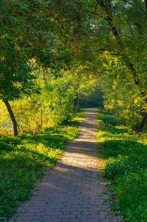 Brick walkway with grass on the sides. The grass is green and the walkway is black
