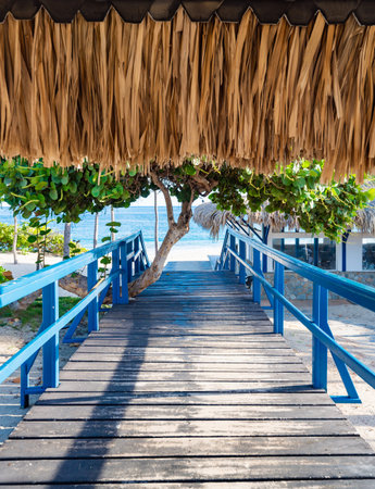Coastal wooden pathway under a lush leafy tree leads to a tranquil beach. Blue railings complement the vibrant greenery, creating a picturesque vacation destination by the ocean.の写真素材