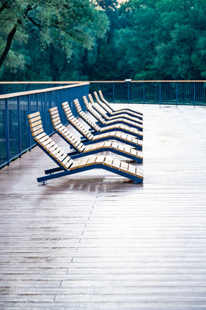Empty wooden lounge chairs line a wet outdoor deck after rain, set against a lush green park backdrop. The scene is serene and peaceful, capturing stillness after a downpour.の写真素材